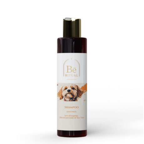 TF101.200.FLA2KO.E07-ET-BANNER