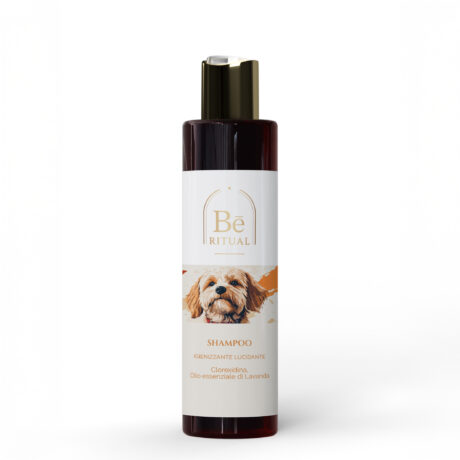 TF102.200.FLA2KO.E07-ET-BANNER