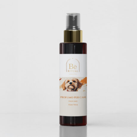 TF111.100.FLA1SNO.E04-ET-BANNER