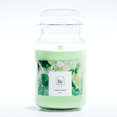 WhatsApp Image 2026-01-08 at 16.33.04